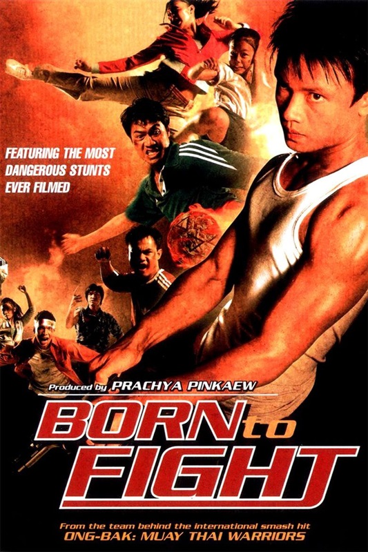 Poster for Born To Fight
