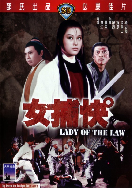 Poster for Lady Of The Law