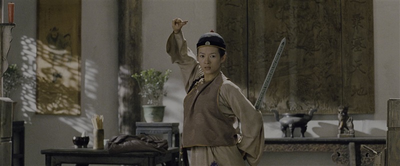 Crouching Tiger Hidden Dragon 132