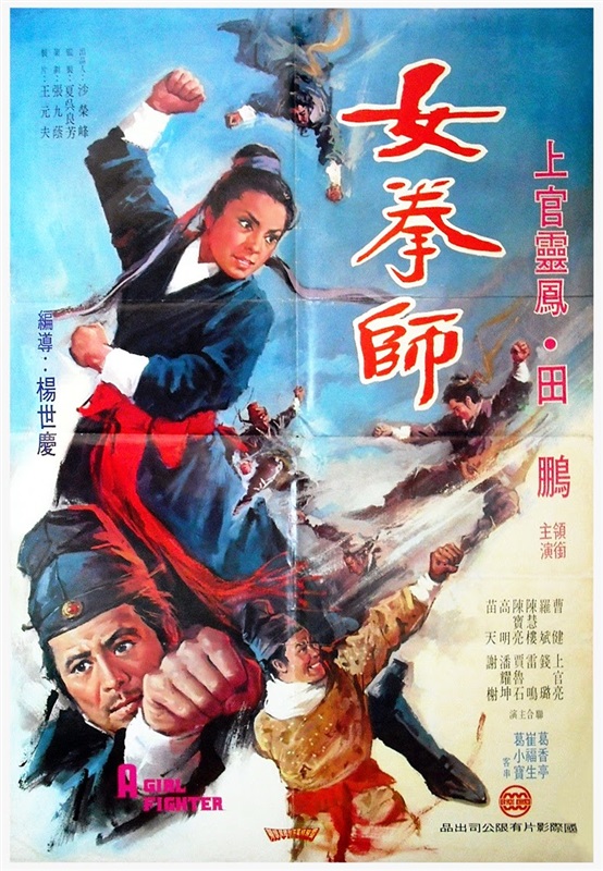 Poster for A Girl Fighter