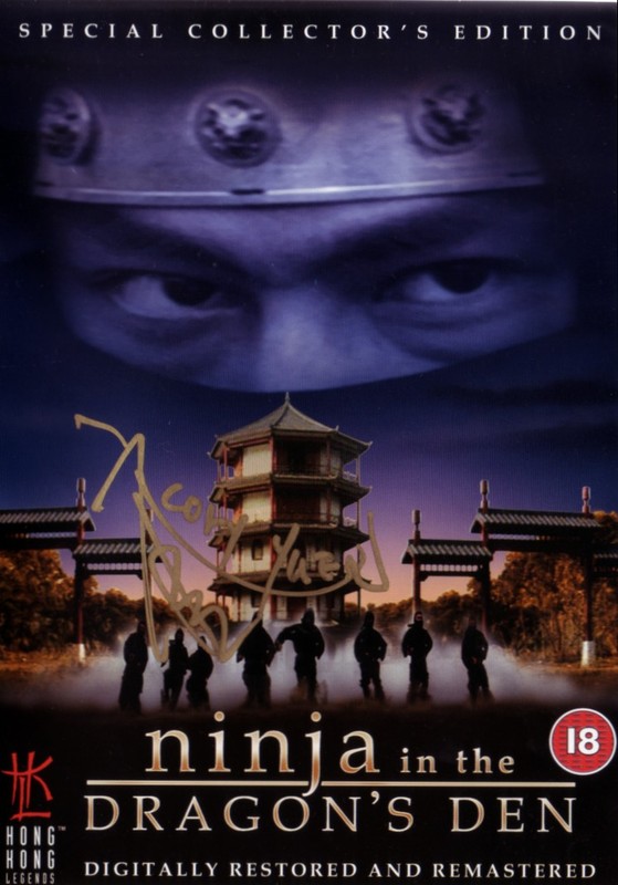 Poster for Ninja In The Dragon's Den