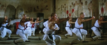 Shaolin Temple (1982) 059