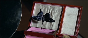 Black Butterfly 022