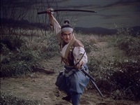 Samurai II 022