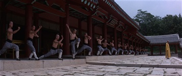 The Shaolin Plot BR 060