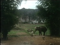 Elephant Keeper 1987 DVDRip DD2.0 x264.mp4