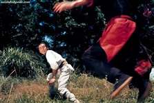 Five Shaolin Masters 010